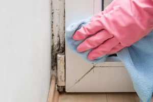 Heavy-Duty Cleaning
