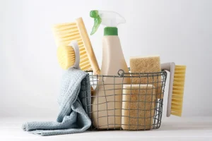 Regular Cleaning